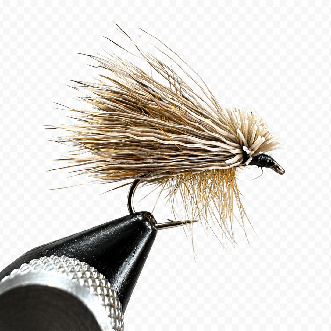 Caddis Life Cycle Fly Box