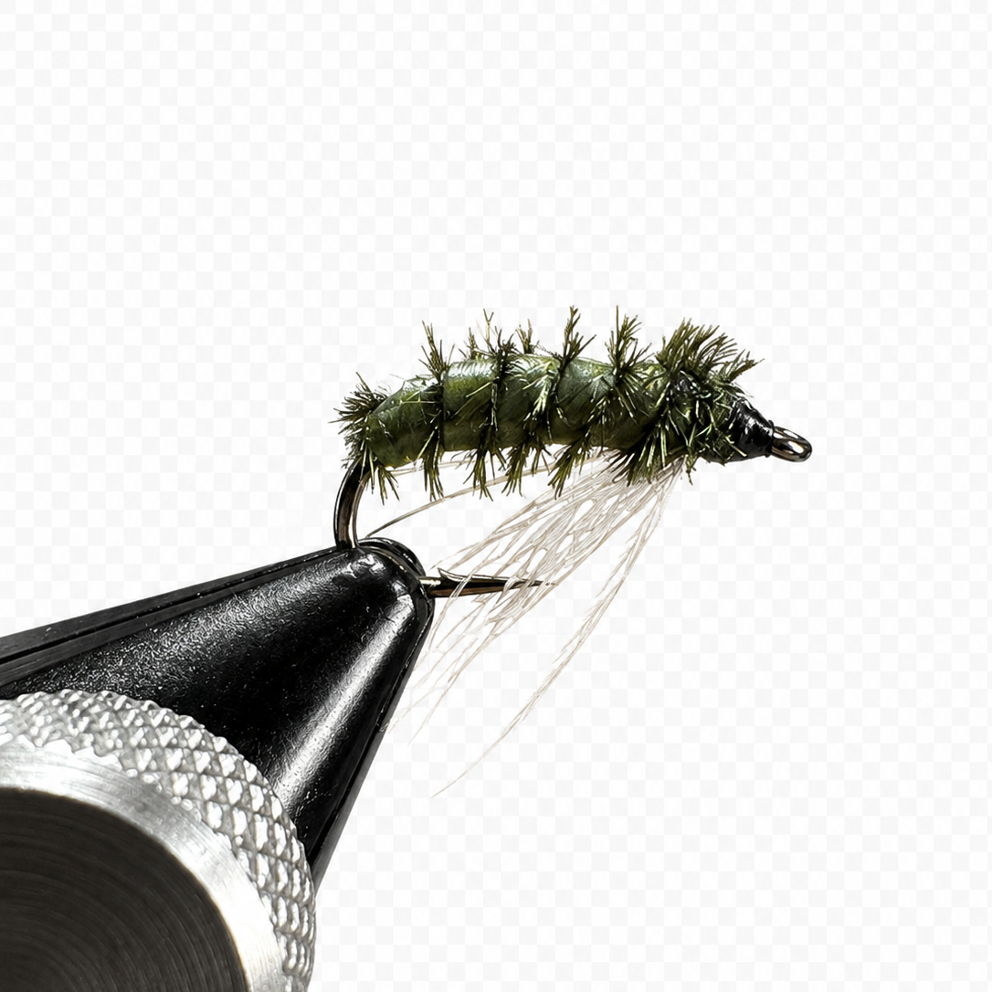 Caddis Life Cycle Fly Box