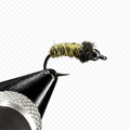 Tungsten Bead Caddis Larva