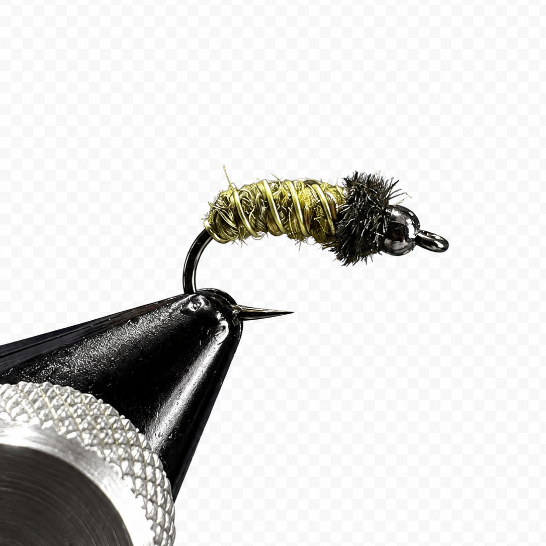 Caddis Life Cycle Fly Box