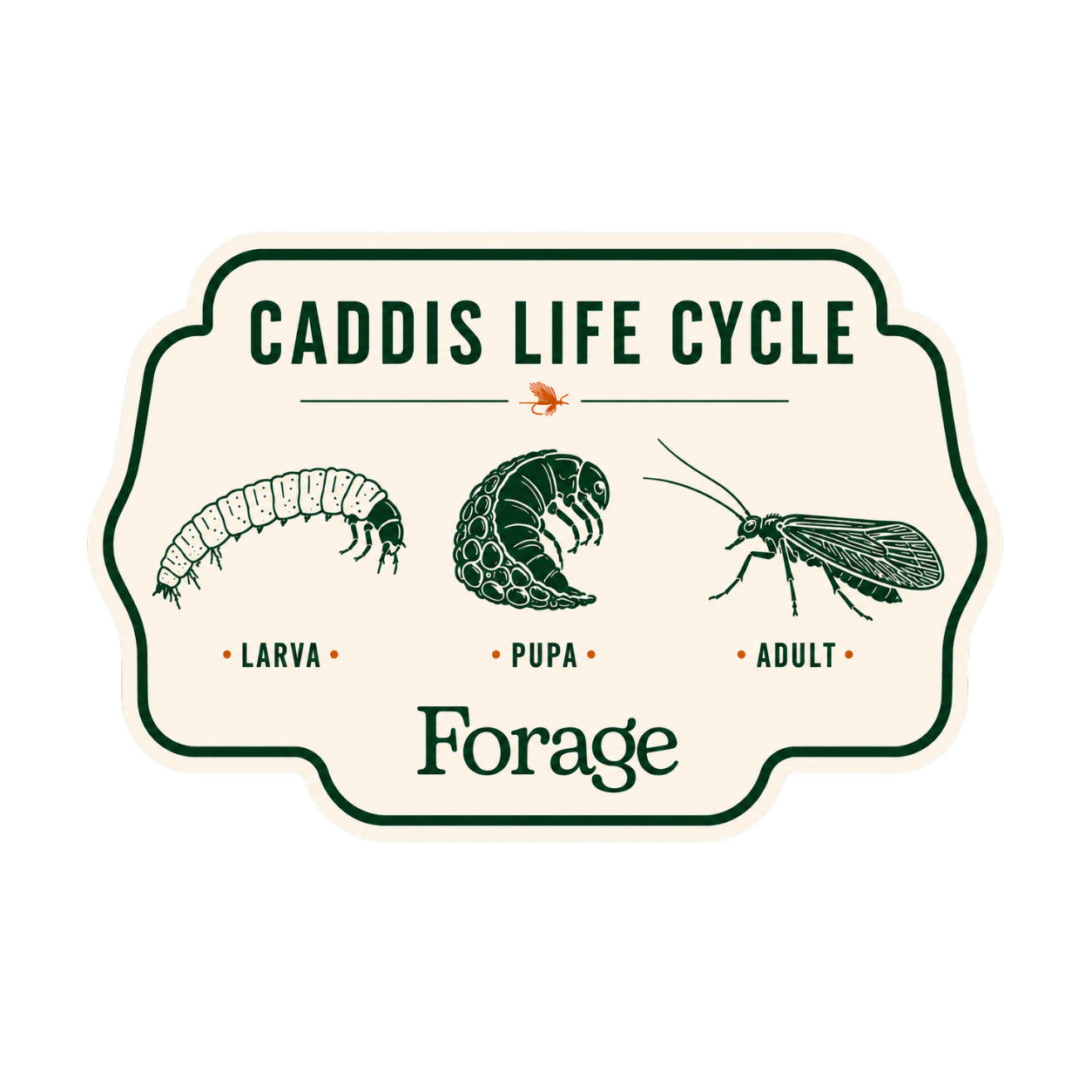 Caddis Life Cycle Fly Box