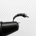 Zebra Midge