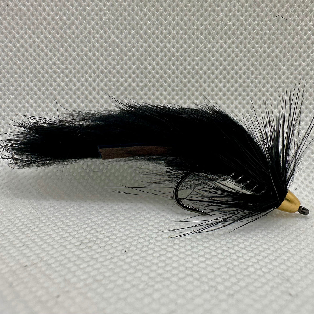 CH Black Zonker