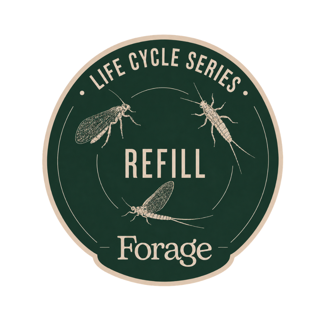Life Cycle Series Refill Pack – 36 Flies